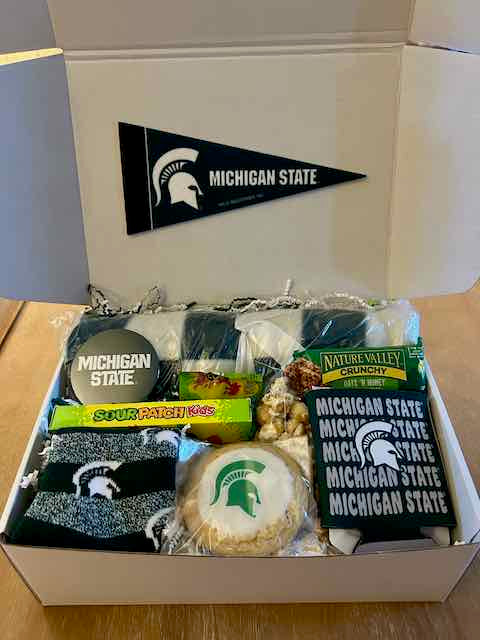 MSU Newly Admitted Student Mailer
