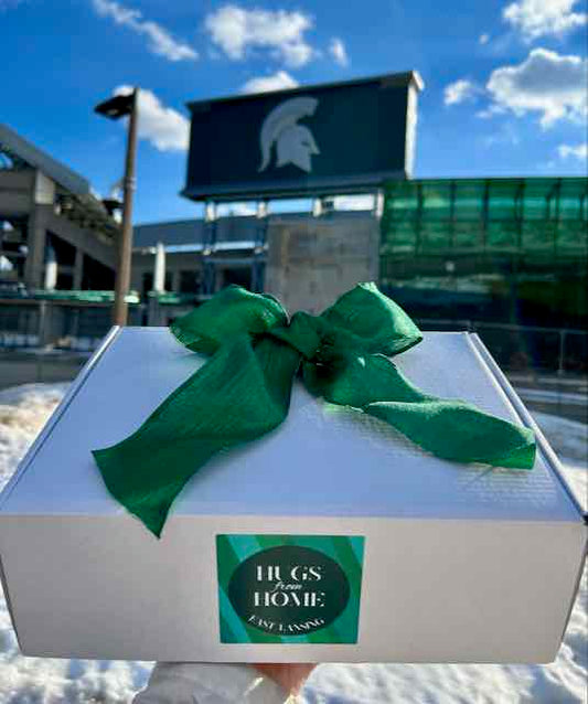 MSU Newly Admitted Student Mailer